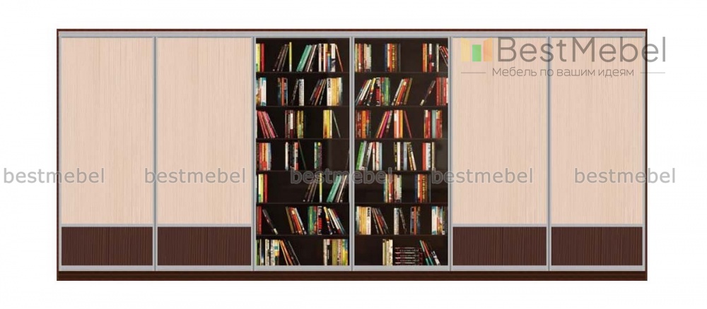 Шкаф-купе Кникс 2 BMS