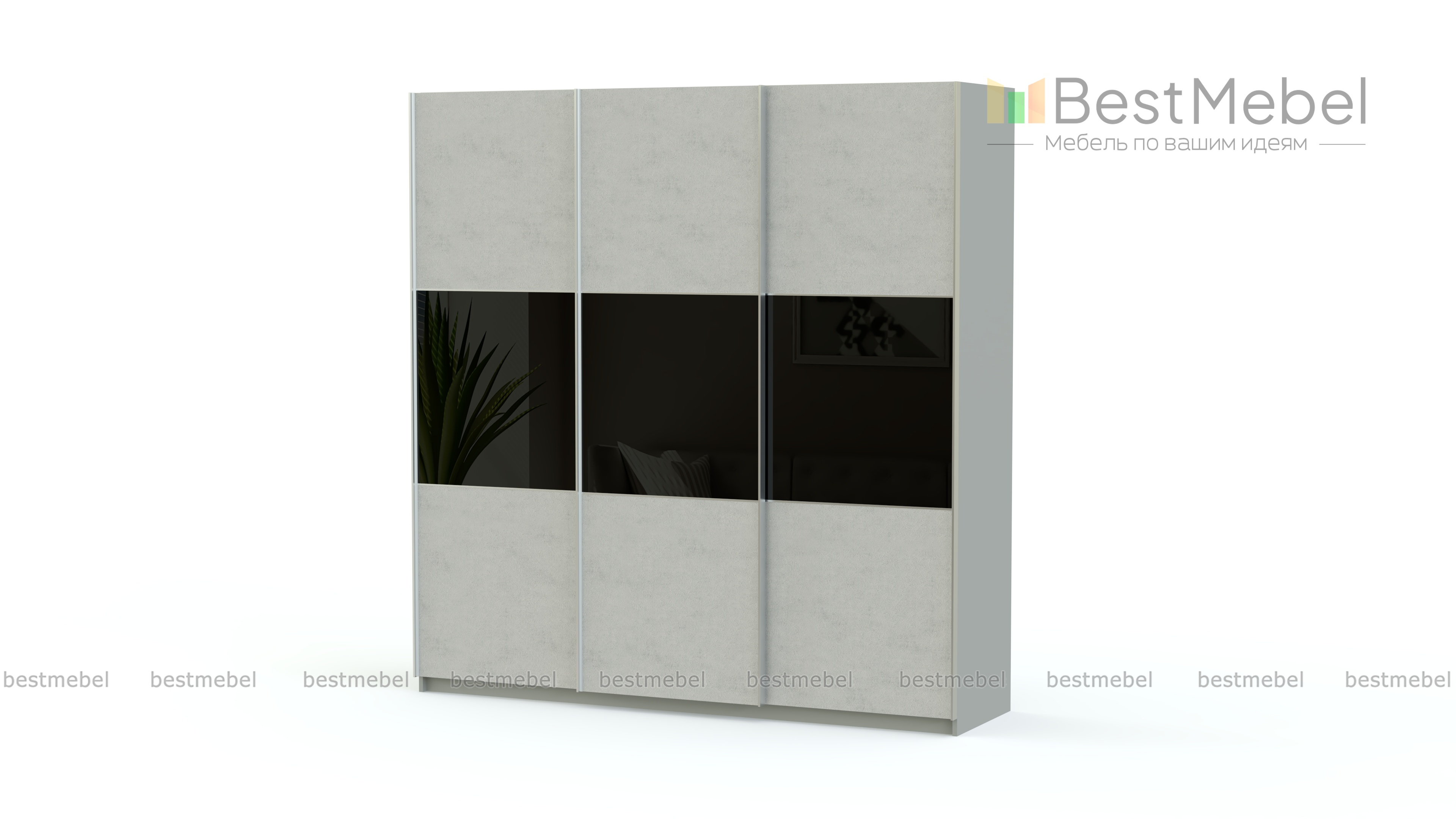 Шкаф-купе Риан 20 BMS