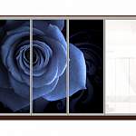 Шкаф-купе Роза 42 BMS - Фото 9