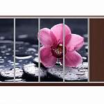 Шкаф-купе Орхидея 13 BMS - Фото 9